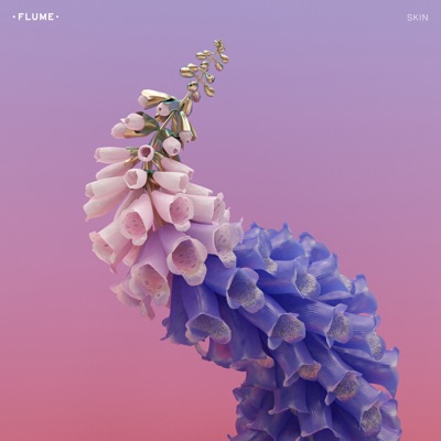 Never Be Like You (feat. KAI) by Flume album cover