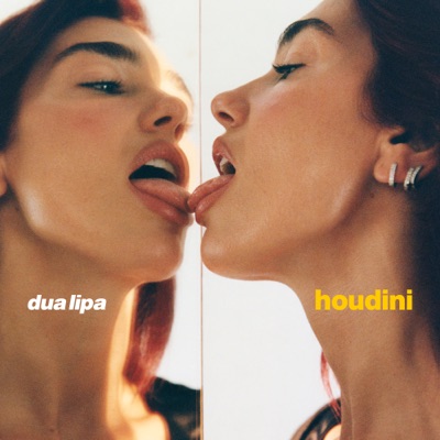 Houdini by Dua Lipa album cover