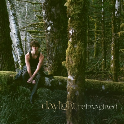 Daylight by David Kushner album cover