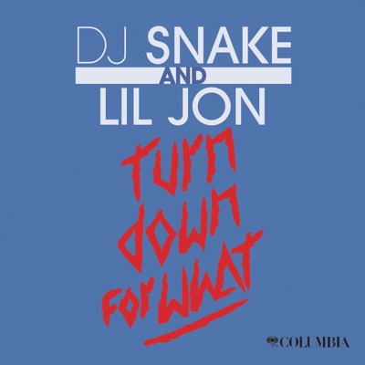 Turn Down for What by DJ Snake & Lil Jon album cover