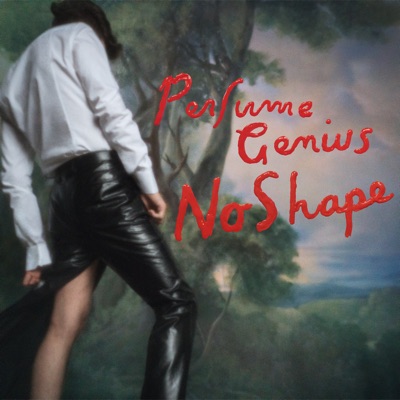 Die 4 You by Perfume Genius album cover