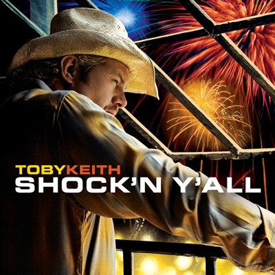 I Love This Bar by Toby Keith album cover