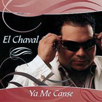 Dónde Están Esos Amigos by El Chaval album cover