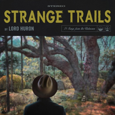 The Night We Met by Lord Huron album cover