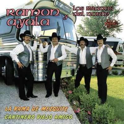 Cuando Yo Era un Jovencito by Ramón Ayala y Sus Bravos del Norte album cover