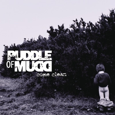 Blurry by Puddle of Mudd album cover